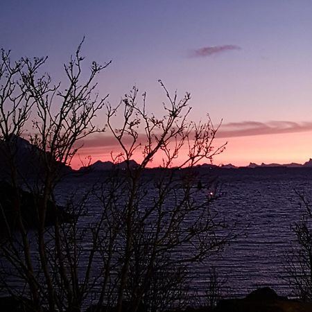 Lofotbo Villa Stamsund Luaran gambar