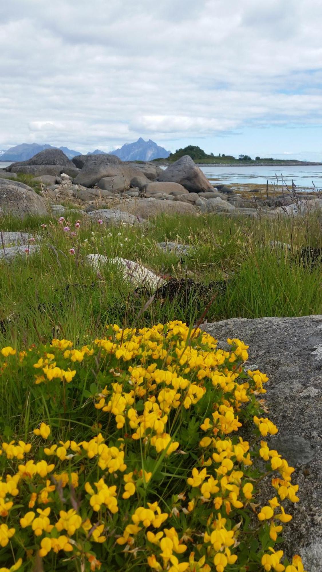 Lofotbo Villa Stamsund Luaran gambar